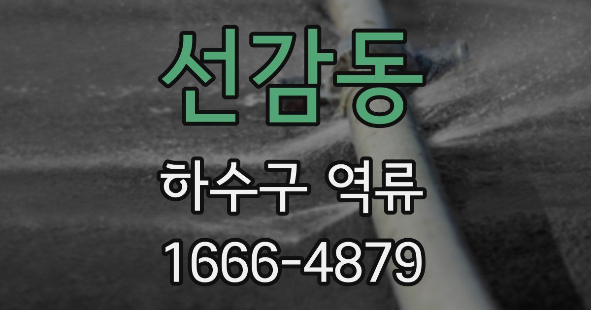 선감동 하수구 역류