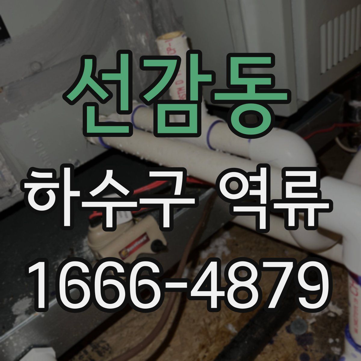 선감동 하수구 역류