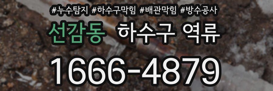 선감동 하수구 역류