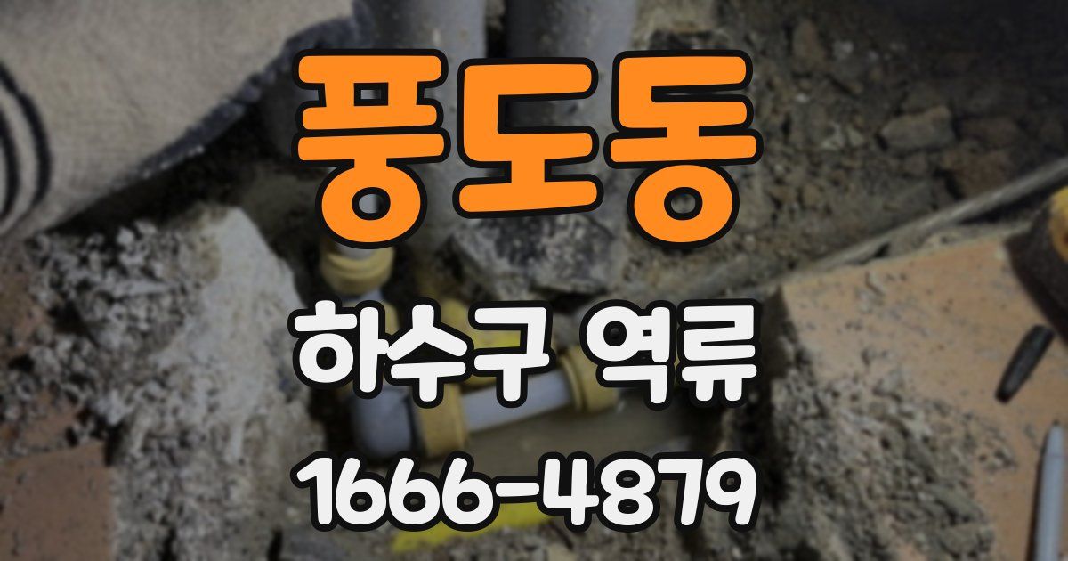 풍도동 하수구 역류