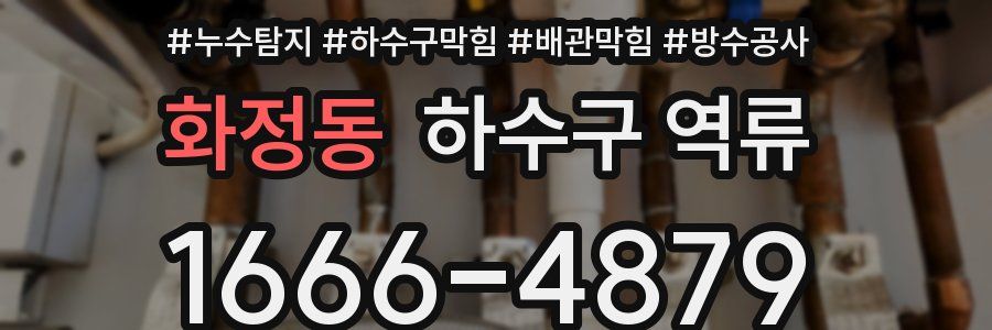 화정동 하수구 역류