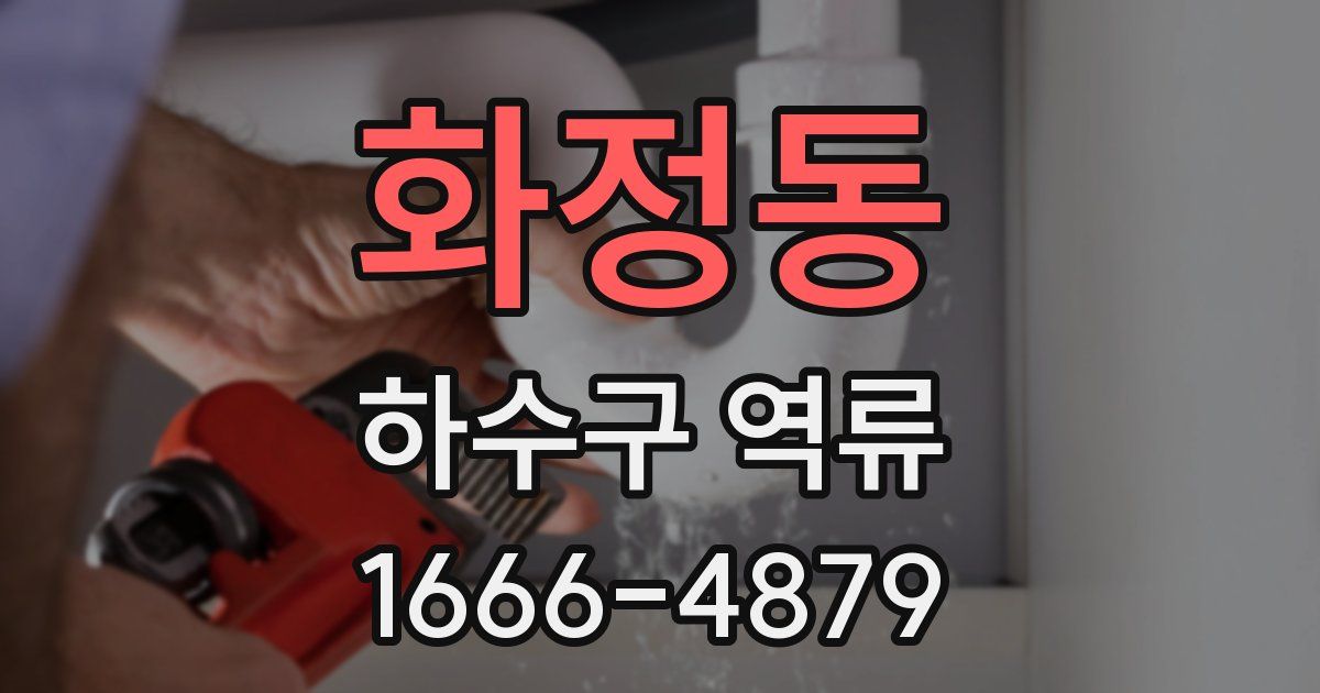 화정동 하수구 역류