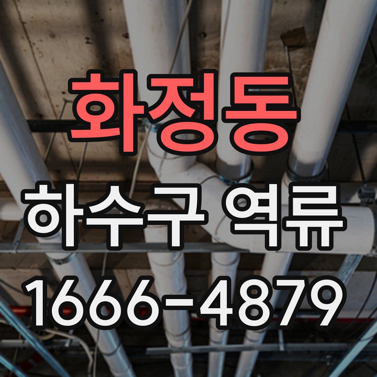 화정동 하수구 역류
