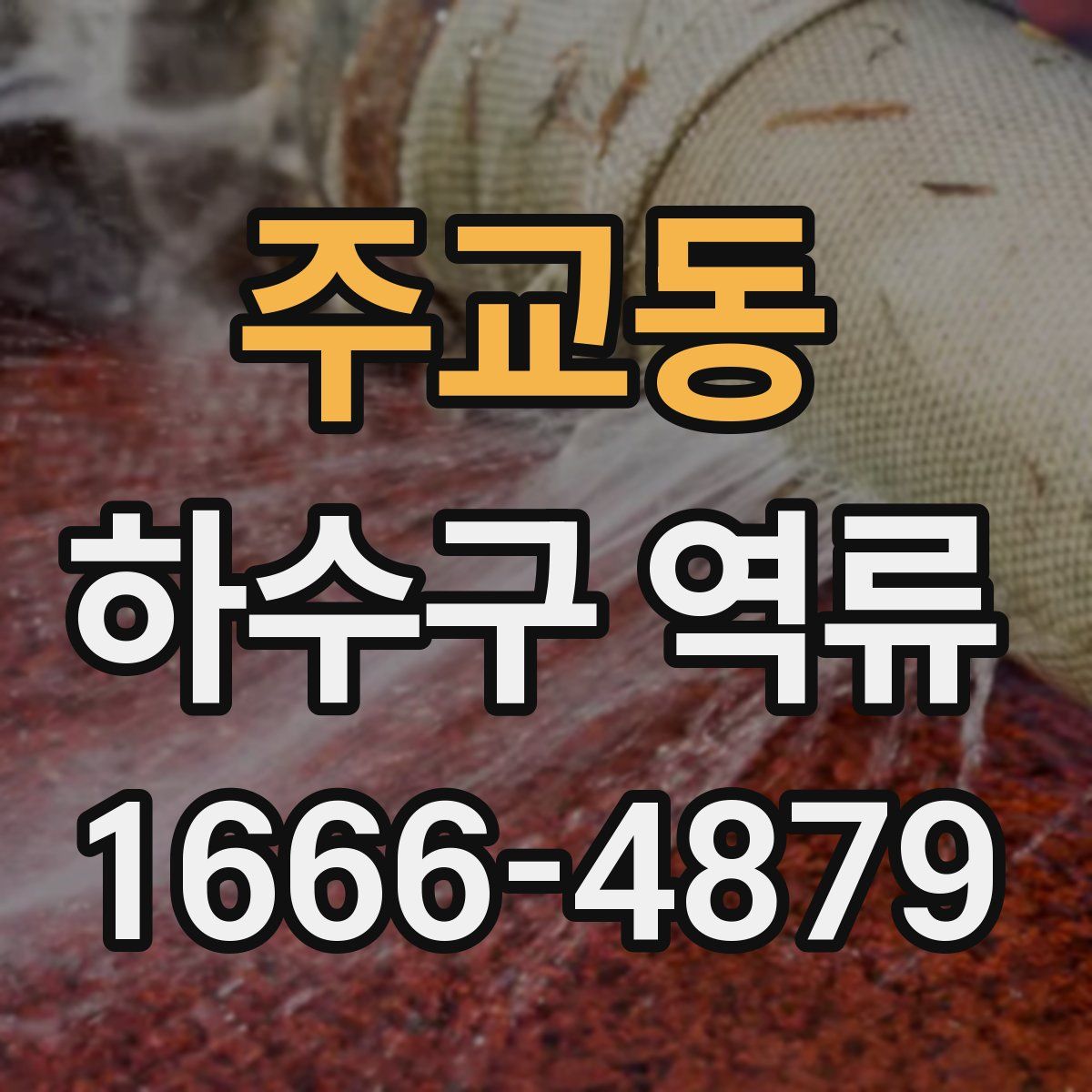 주교동 하수구 역류