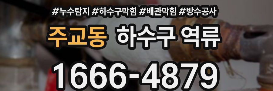 주교동 하수구 역류