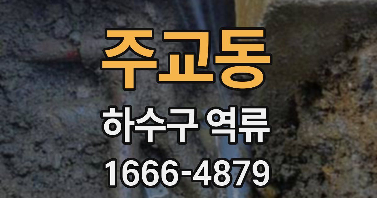 주교동 하수구 역류