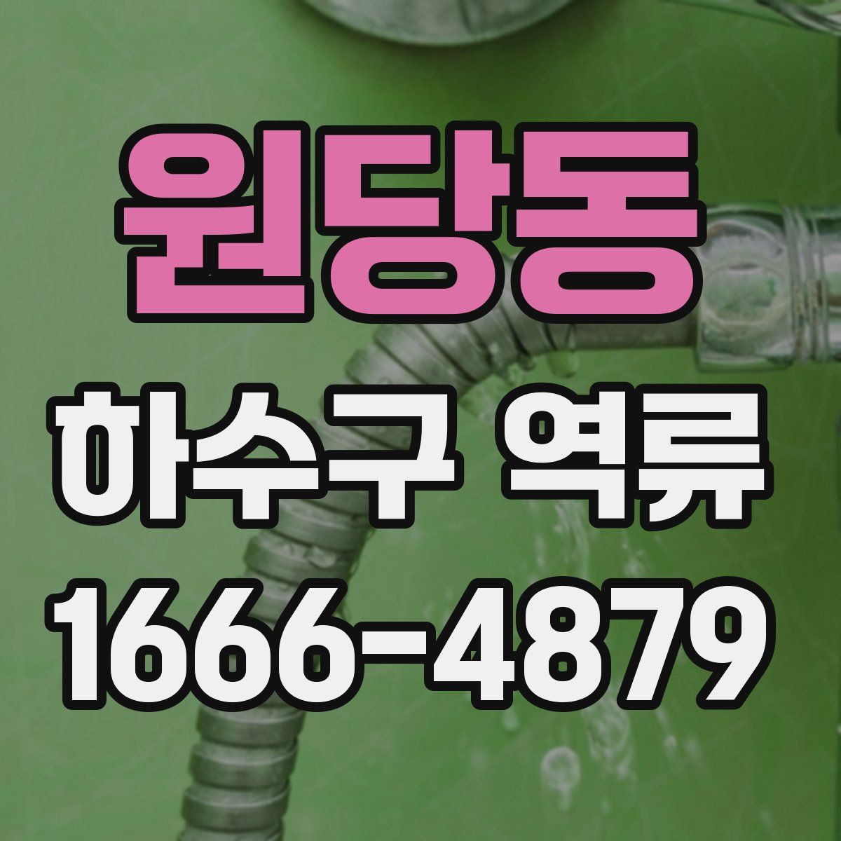 원당동 하수구 역류