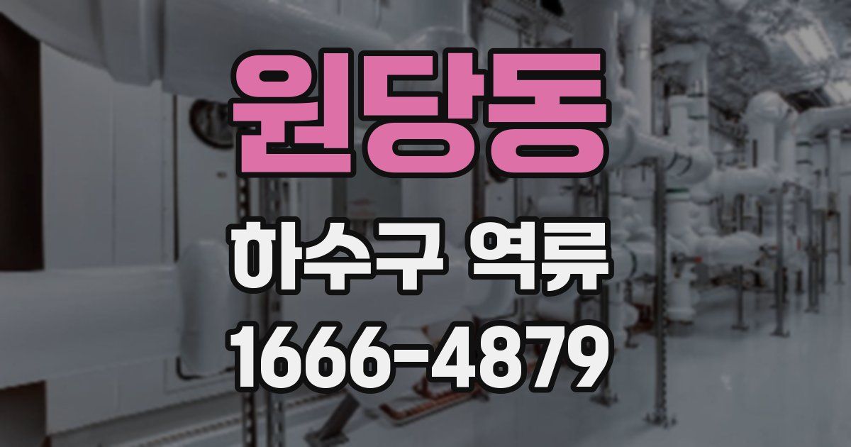 원당동 하수구 역류