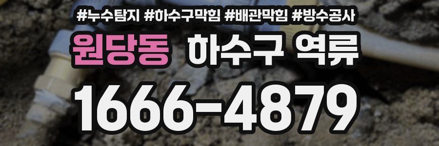 원당동 하수구 역류