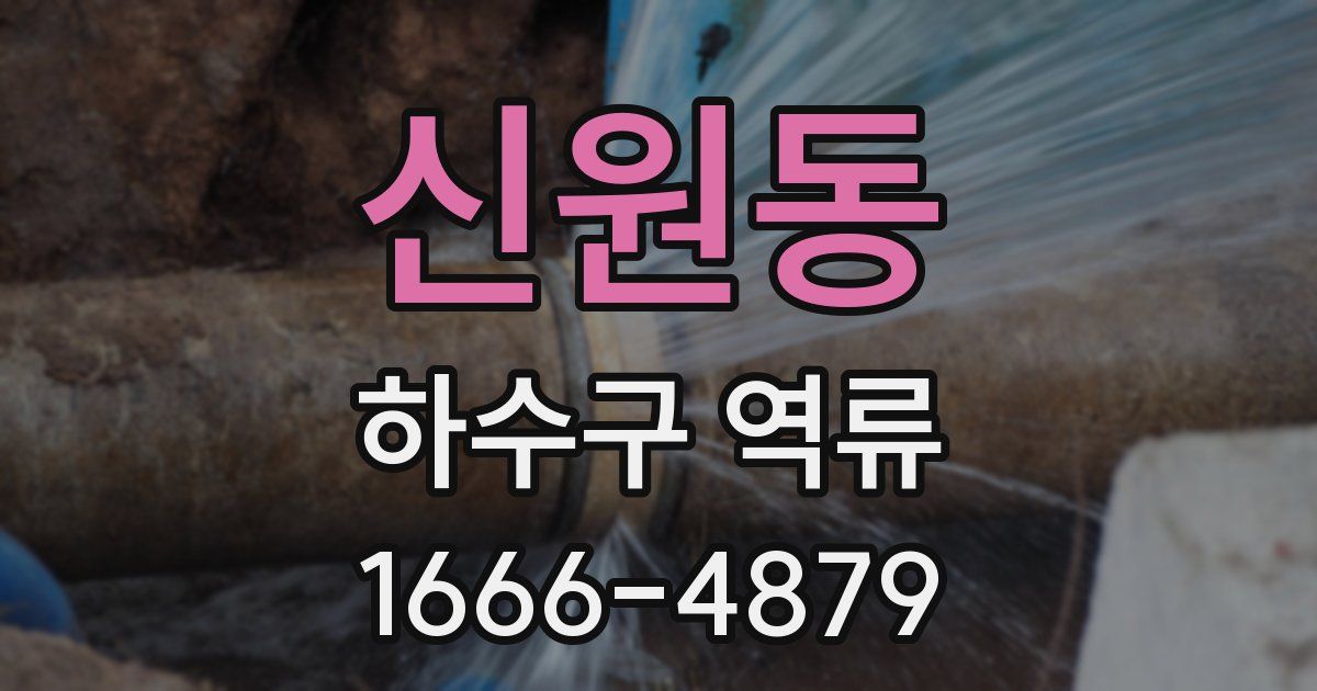 신원동 하수구 역류