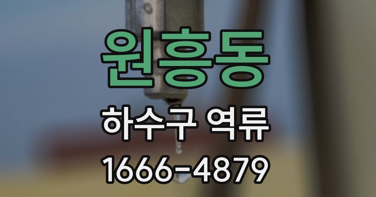 원흥동 하수구 역류