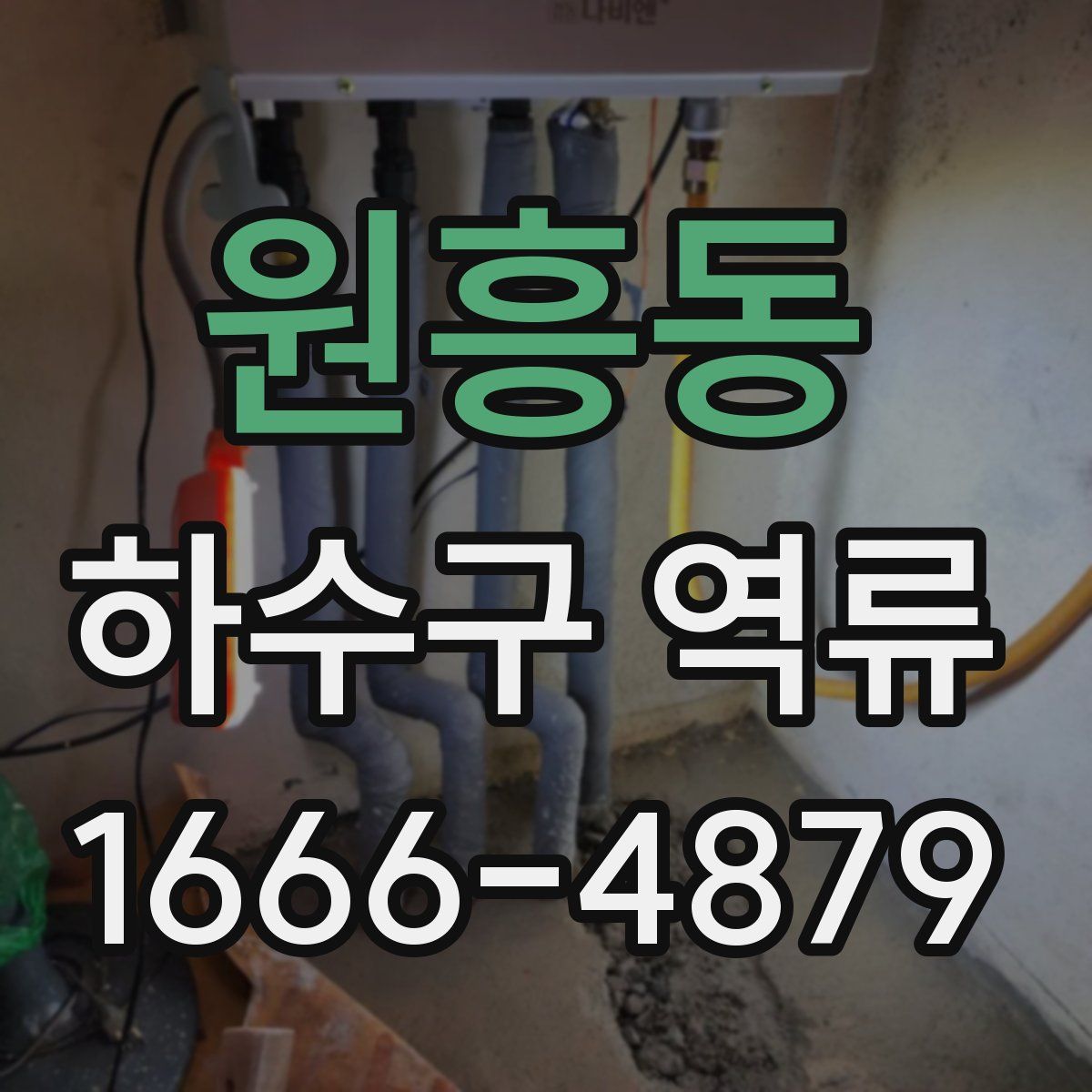 원흥동 하수구 역류