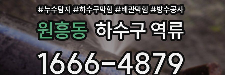 원흥동 하수구 역류
