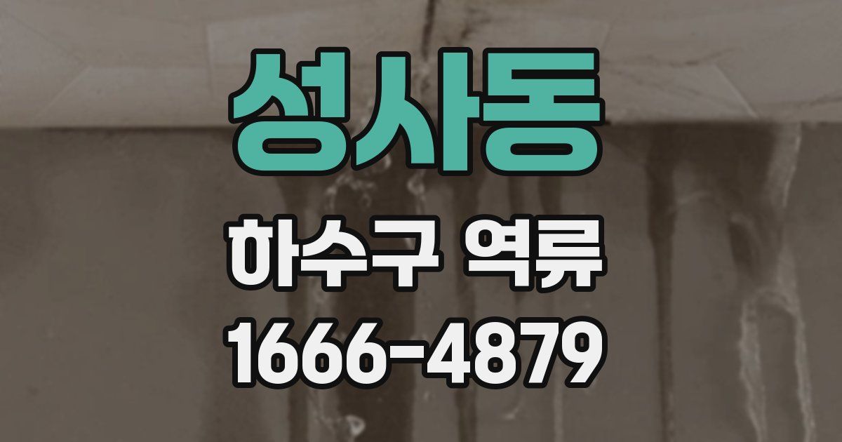 성사동 하수구 역류
