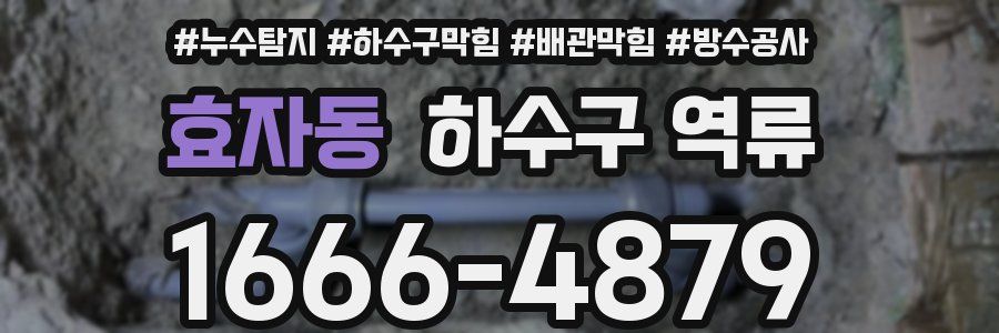 효자동 하수구 역류