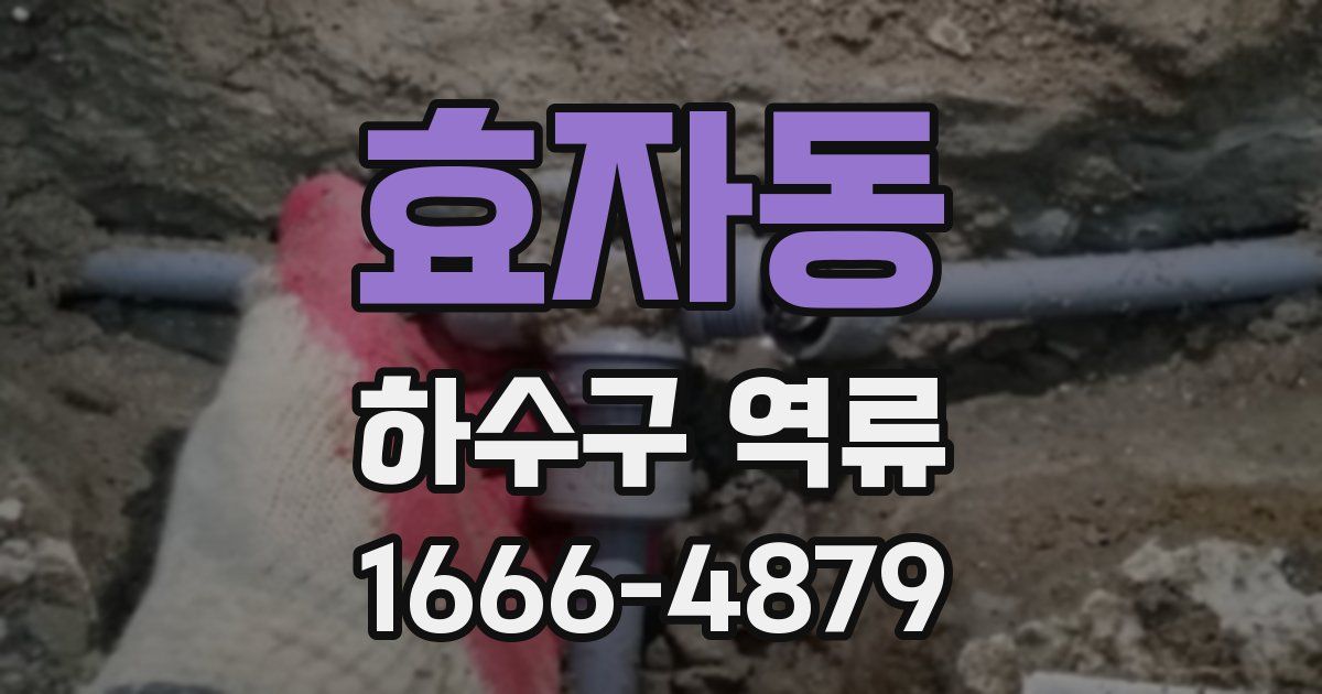효자동 하수구 역류