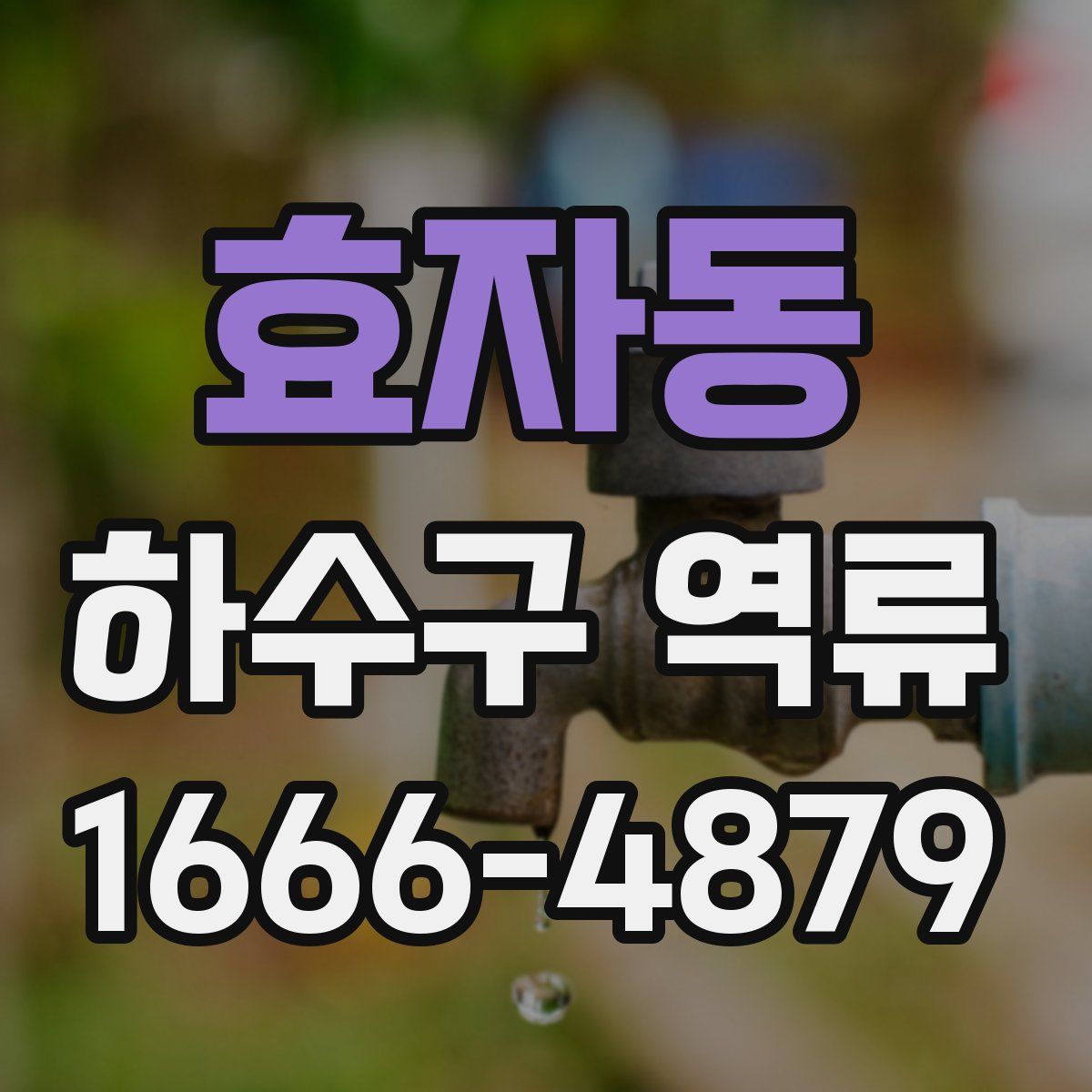 효자동 하수구 역류