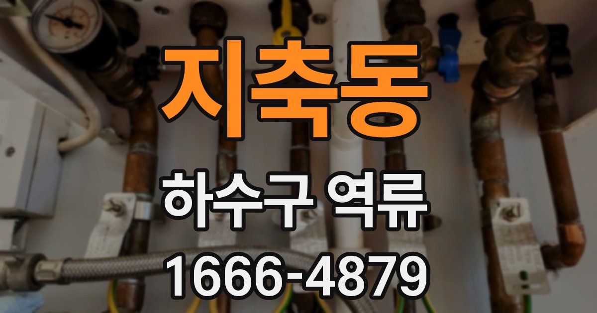 지축동 하수구 역류