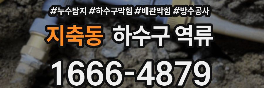 지축동 하수구 역류
