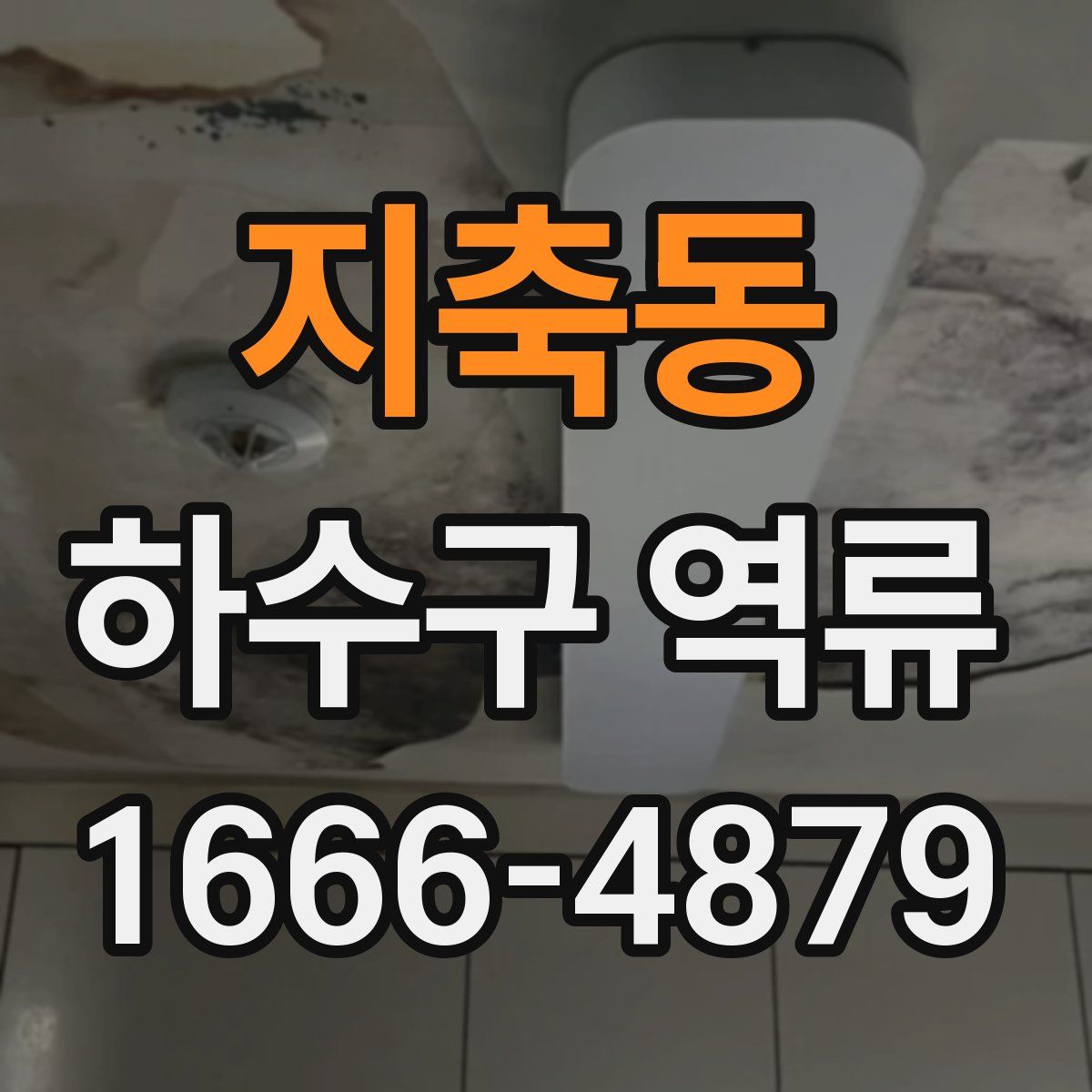 지축동 하수구 역류