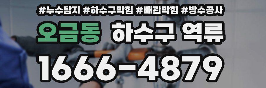 오금동 하수구 역류