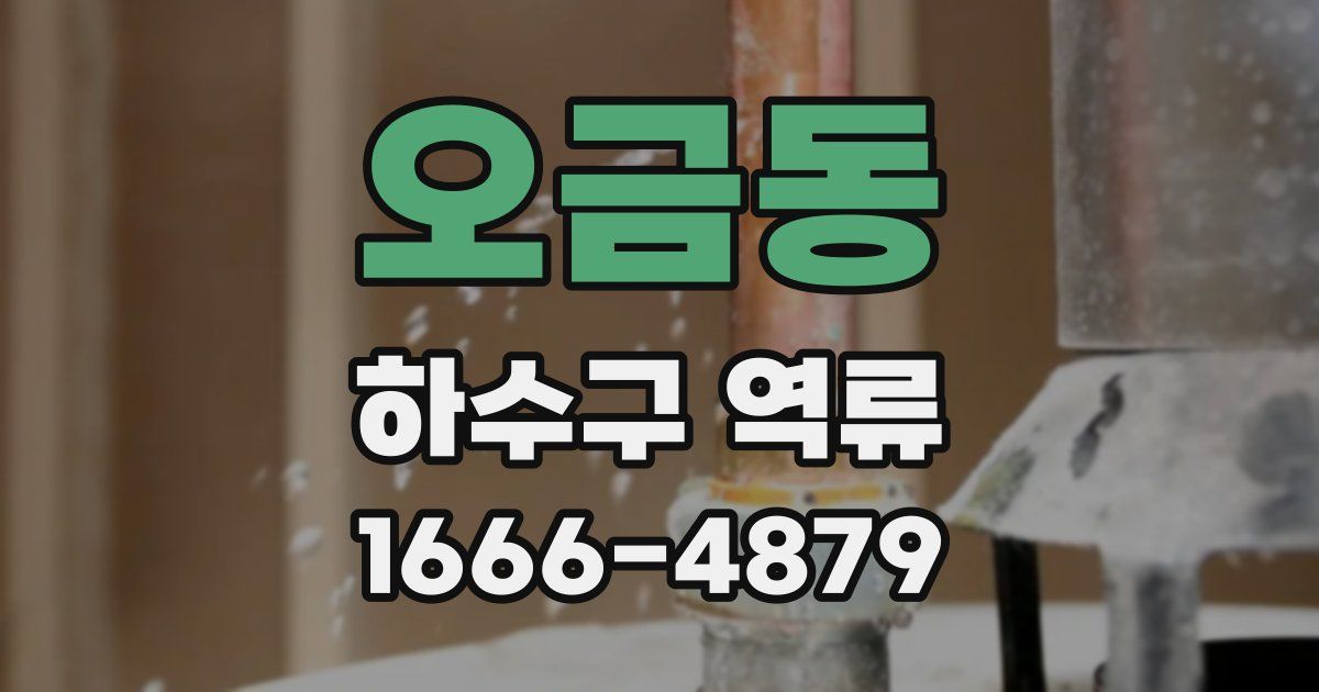 오금동 하수구 역류