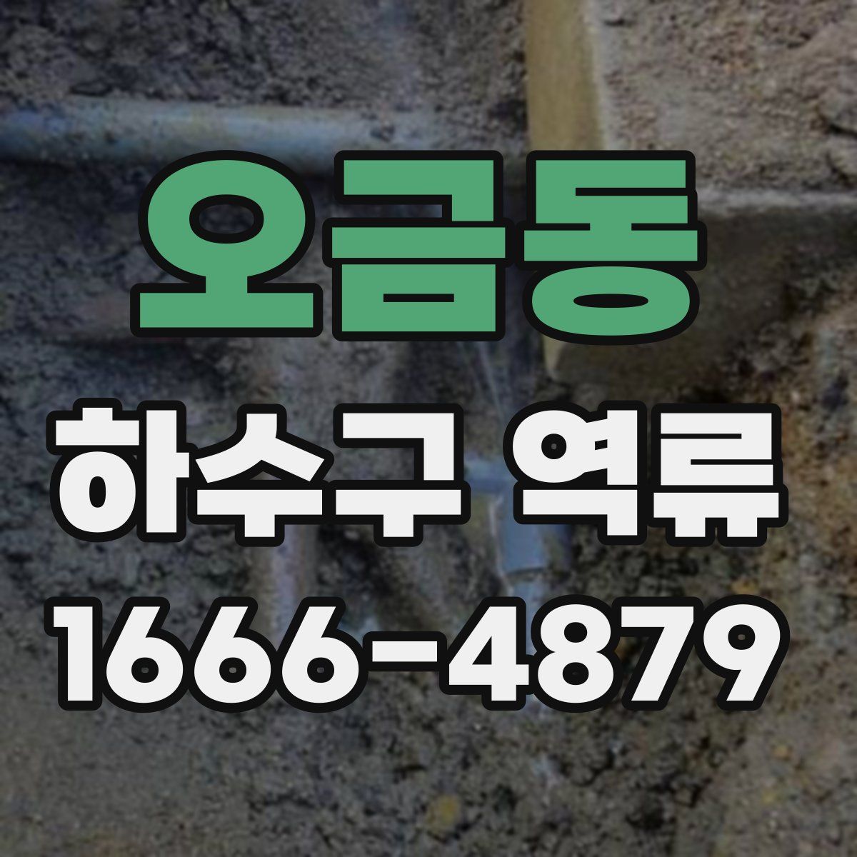 오금동 하수구 역류