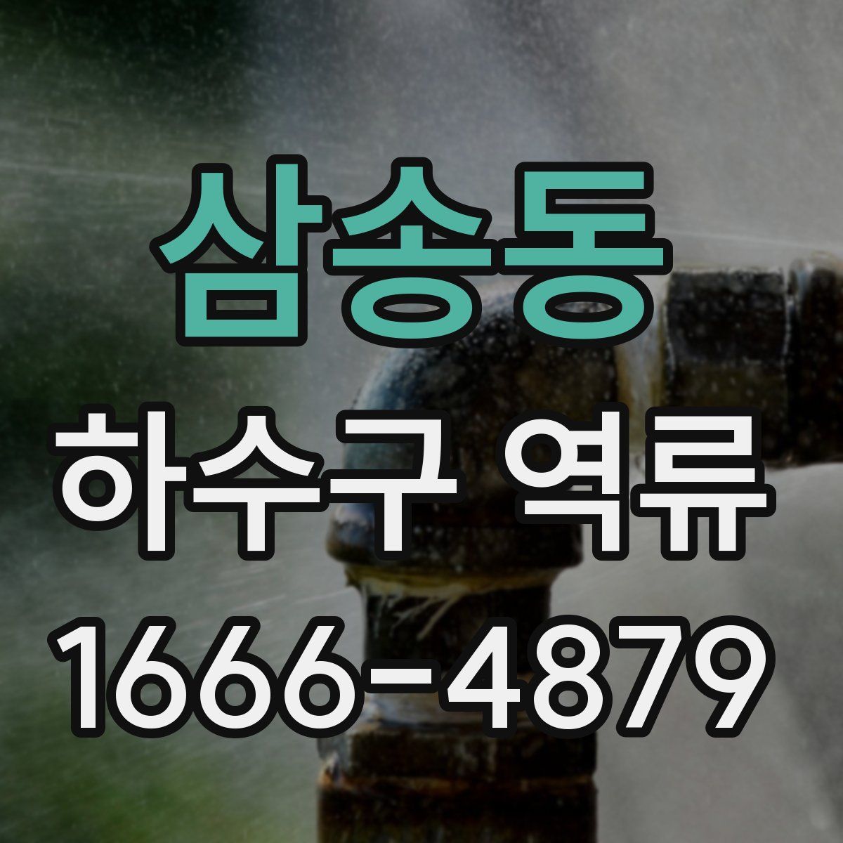 삼송동 하수구 역류