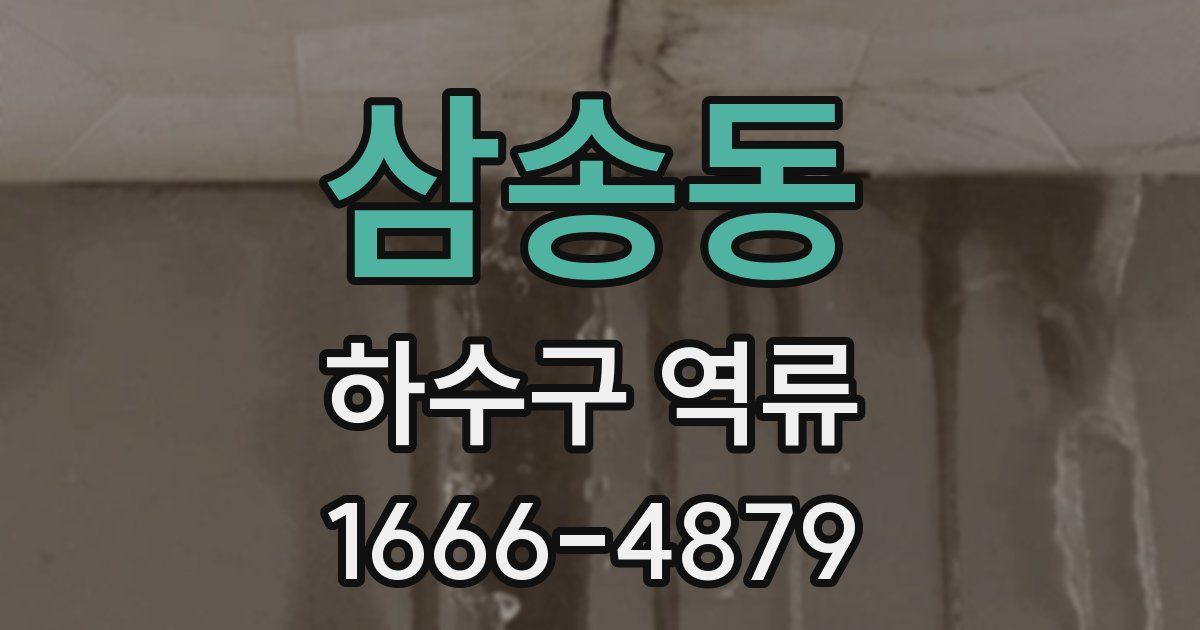 삼송동 하수구 역류