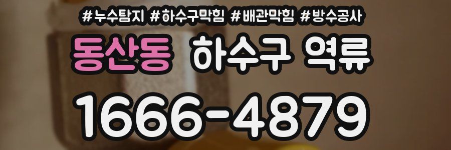 동산동 하수구 역류