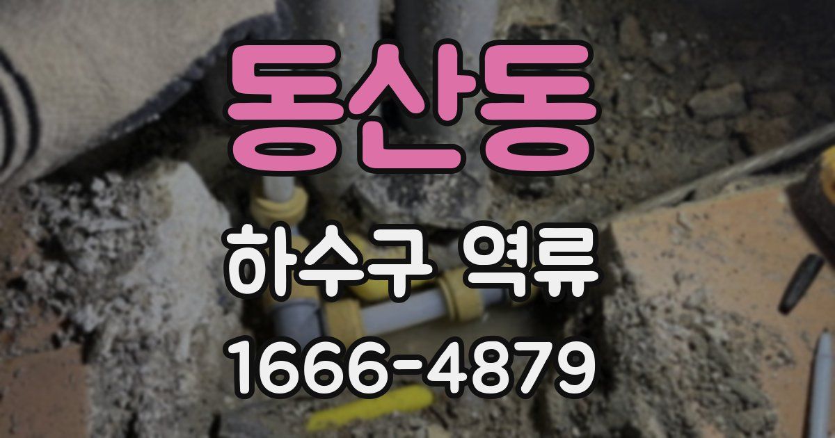 동산동 하수구 역류