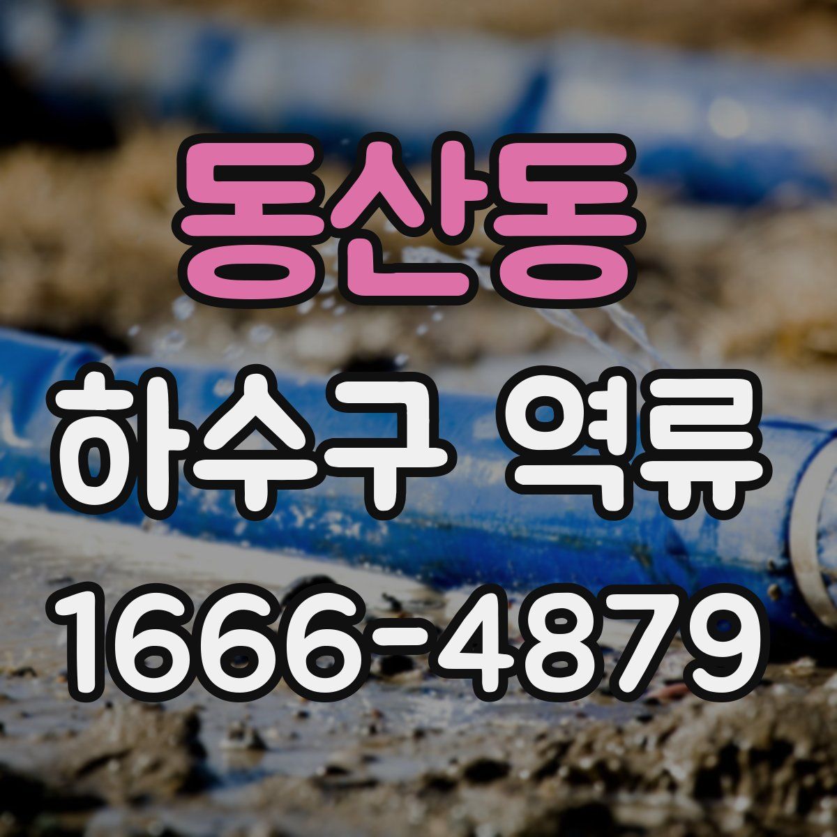 동산동 하수구 역류