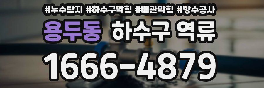 용두동 하수구 역류