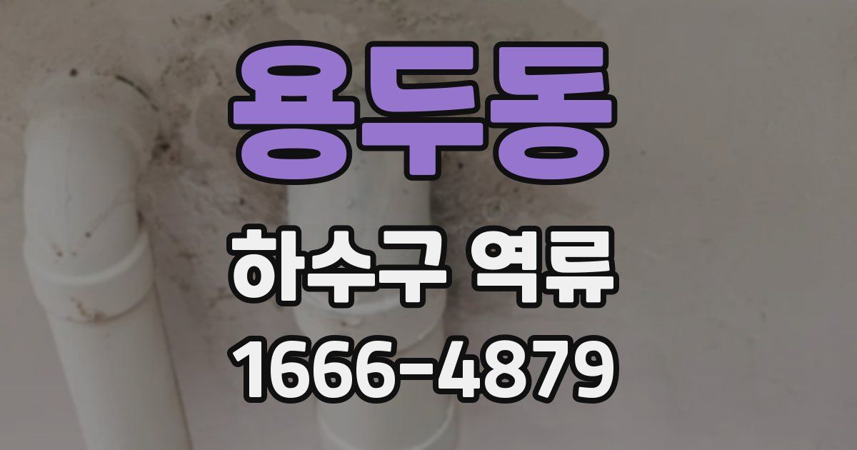 용두동 하수구 역류