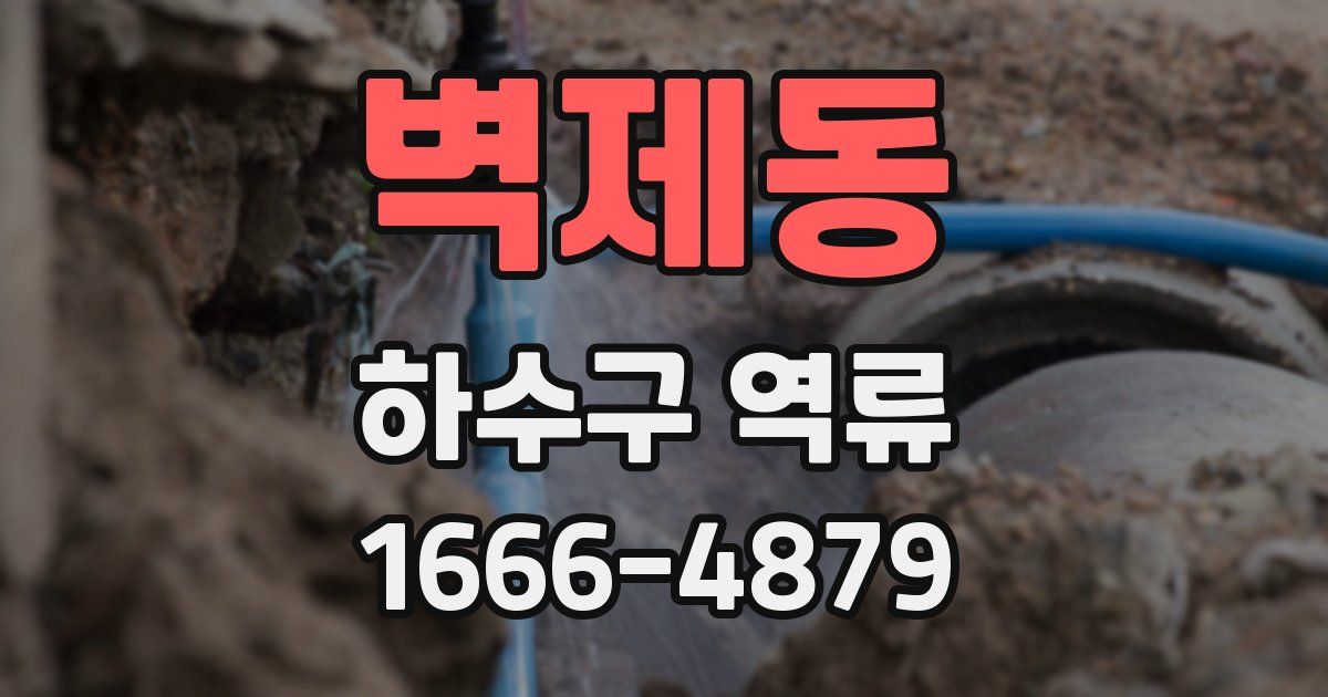 벽제동 하수구 역류
