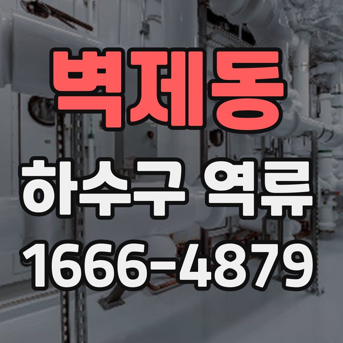 벽제동 하수구 역류