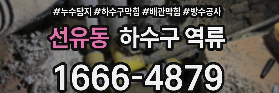 선유동 하수구 역류