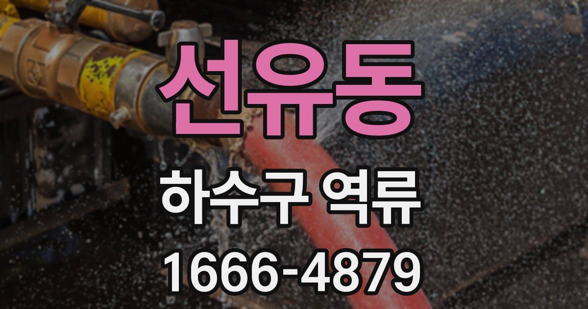 선유동 하수구 역류