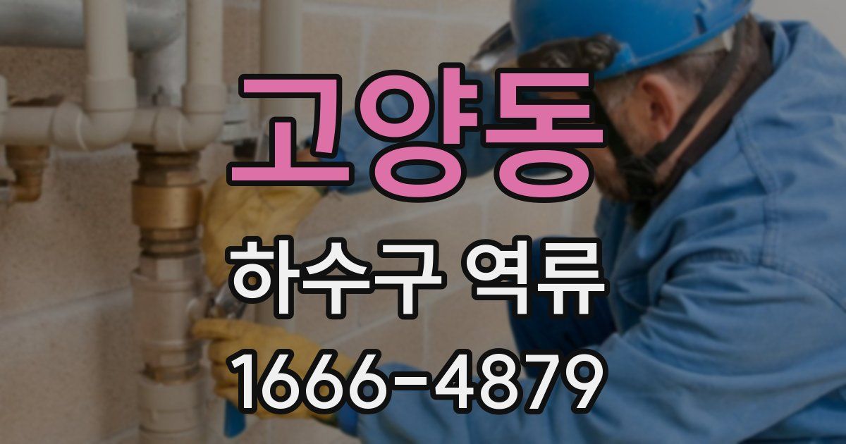 고양동 하수구 역류