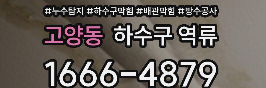 고양동 하수구 역류