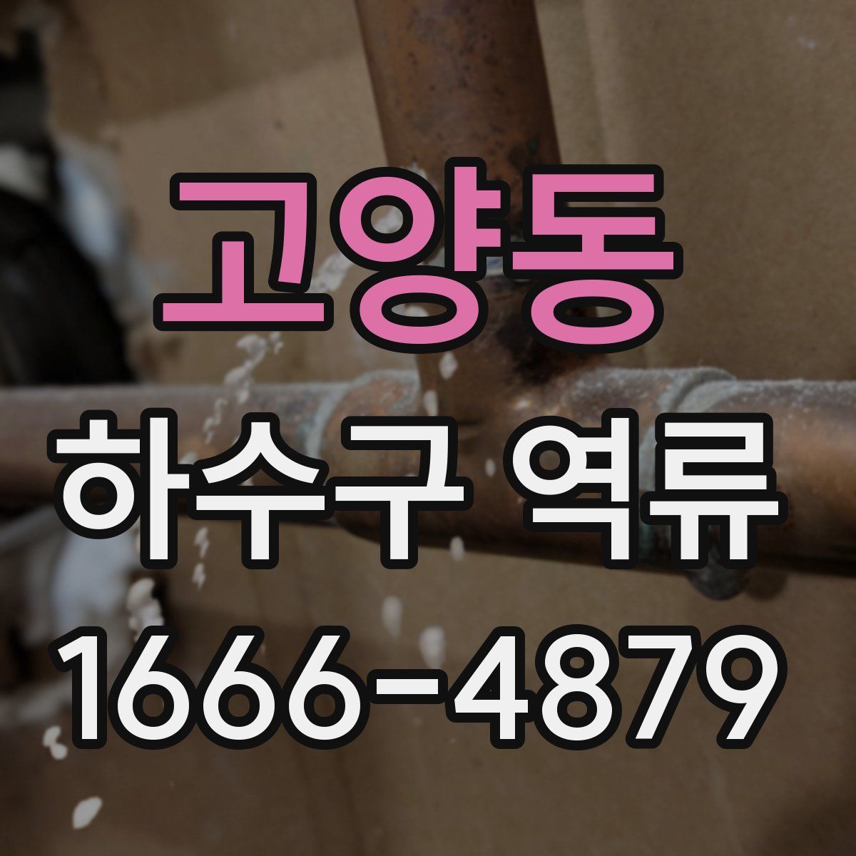 고양동 하수구 역류