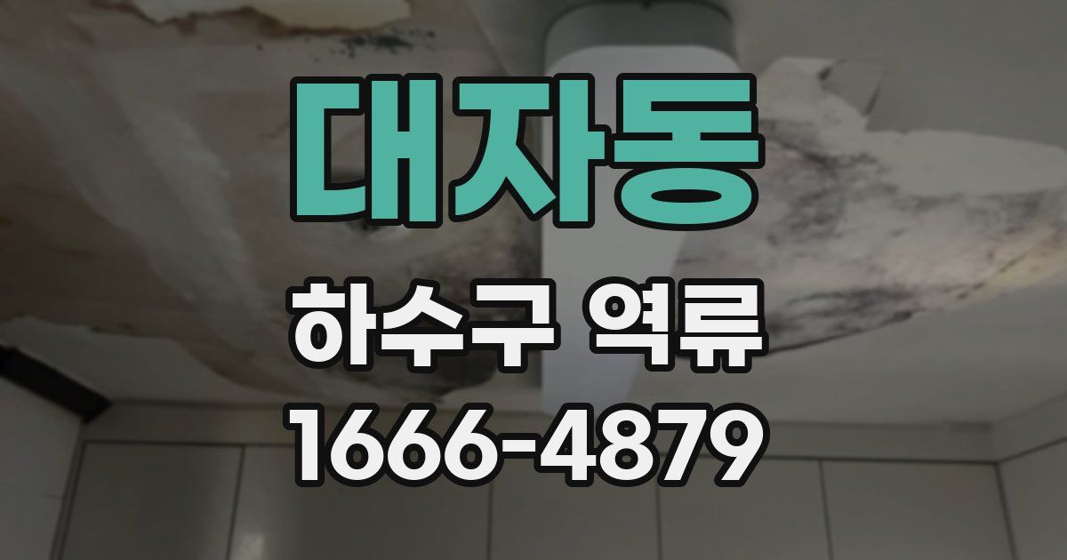 대자동 하수구 역류