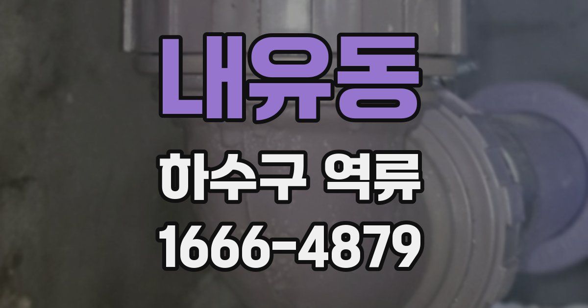 내유동 하수구 역류