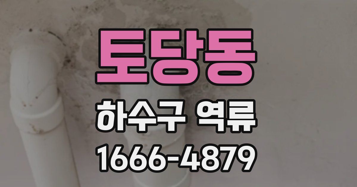 토당동 하수구 역류