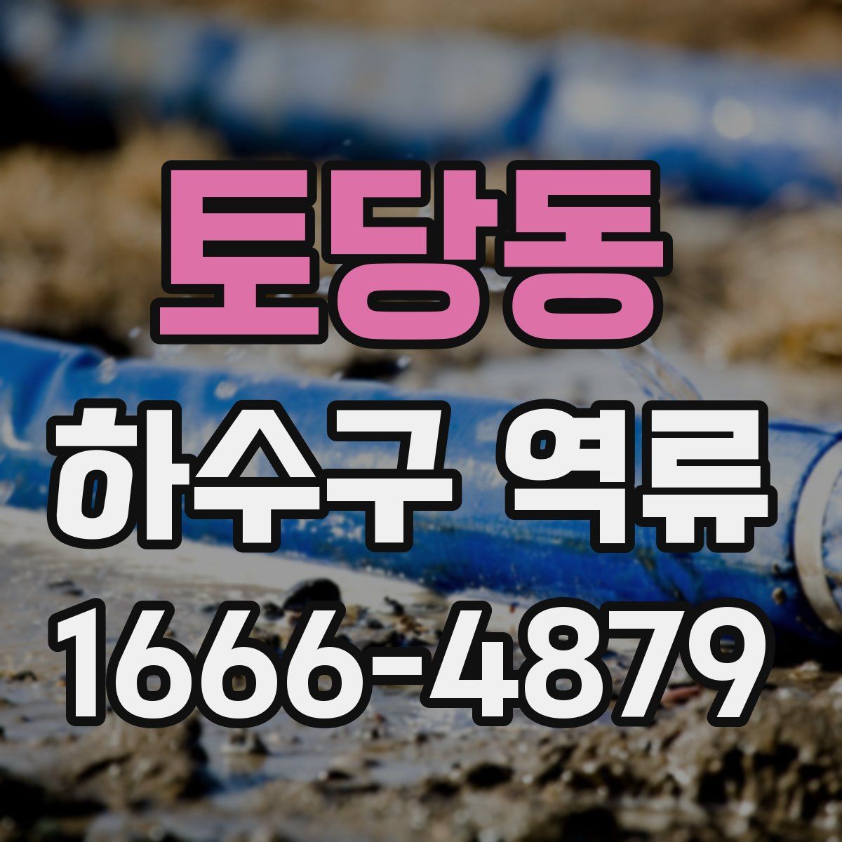 토당동 하수구 역류