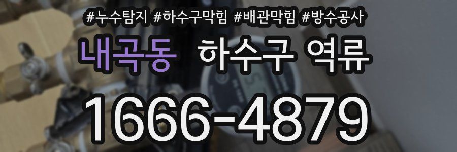 내곡동 하수구 역류