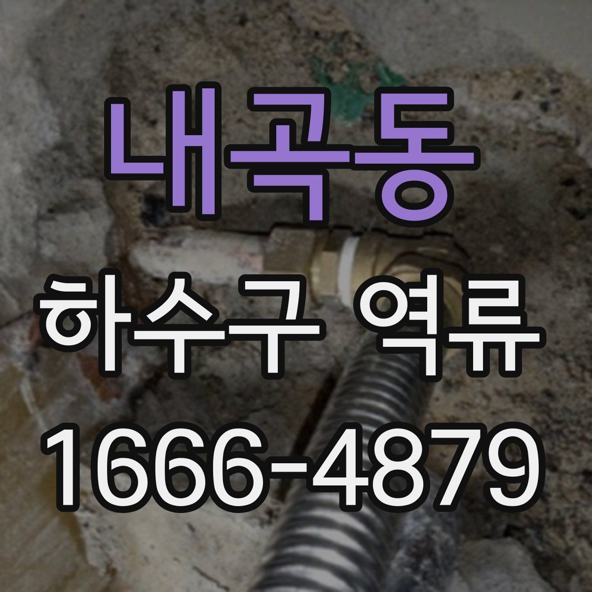내곡동 하수구 역류