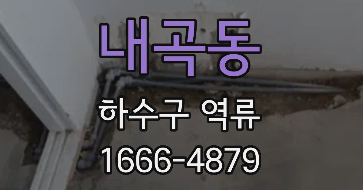 내곡동 하수구 역류