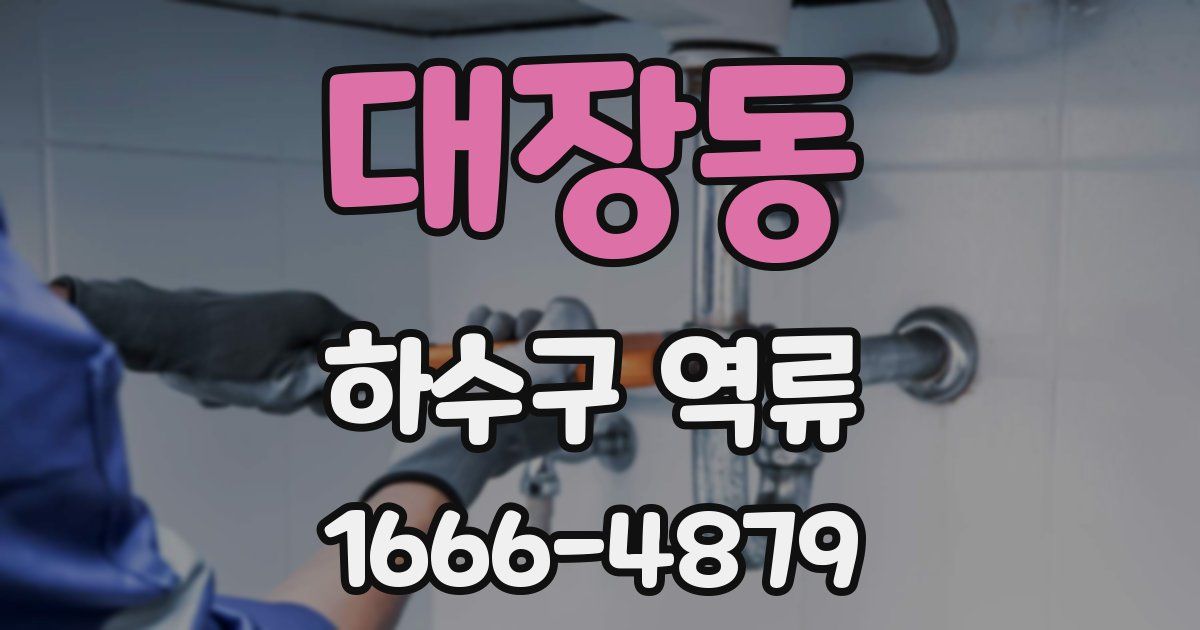 대장동 하수구 역류