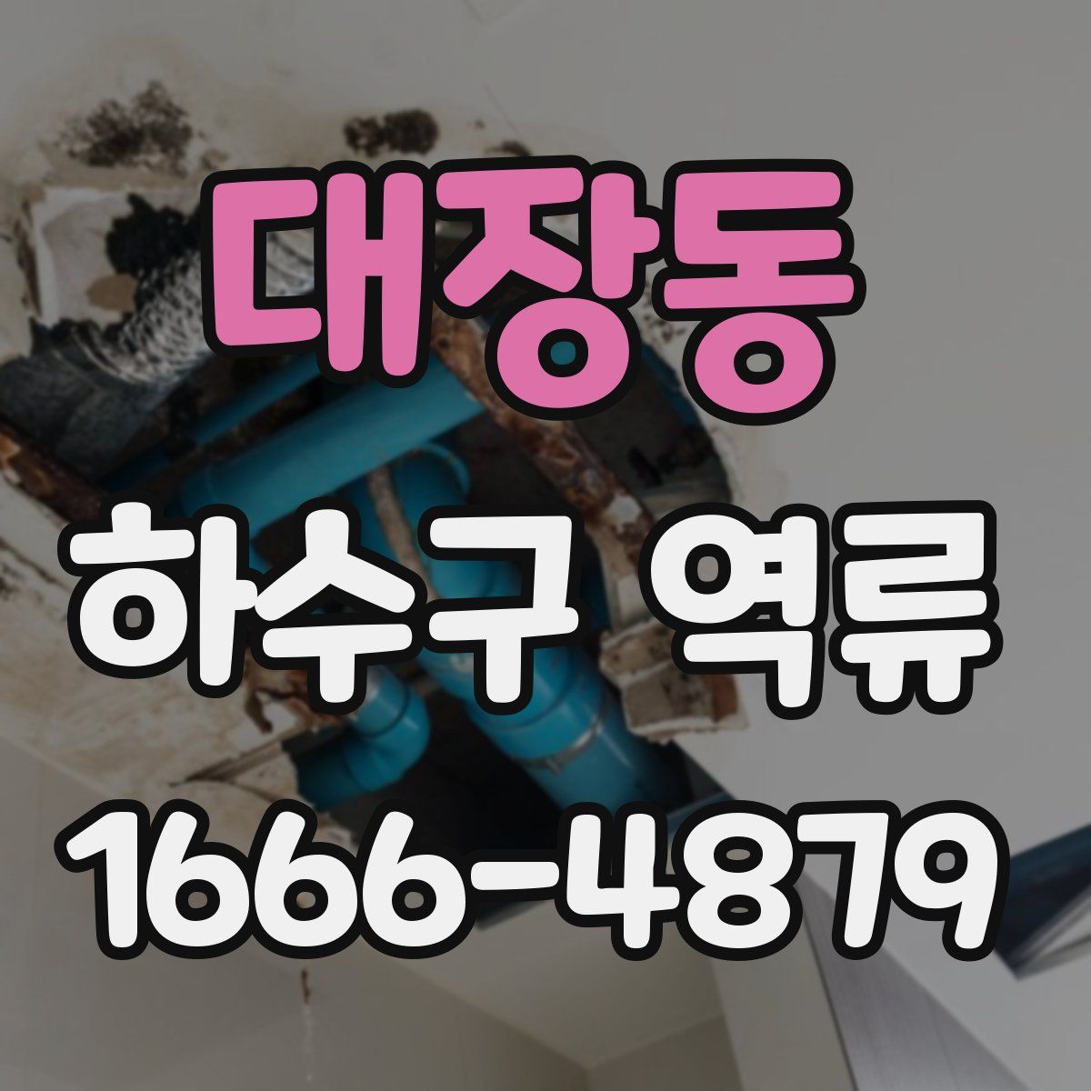 대장동 하수구 역류